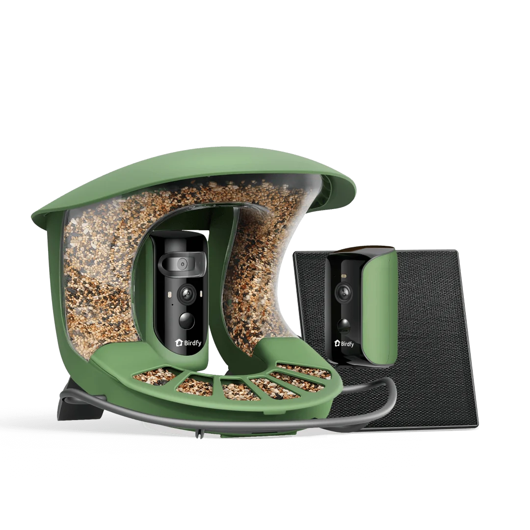 Birdfy Feeder 2 Duo – Vogelfutterstation mit Kameras
